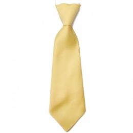 Boys Gold Plain Satin Tie on Elastic